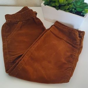 Jumping beans brown pant toddlers